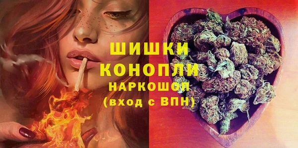 сатива Елабуга