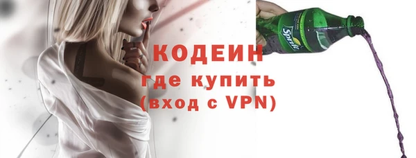 амф Елизово