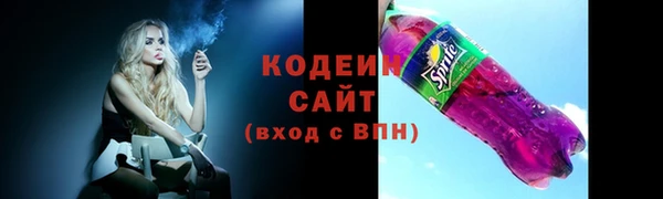 сатива Елабуга