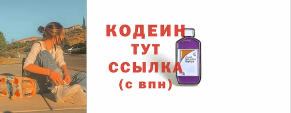 амф Елизово