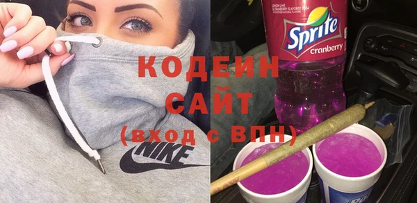 амф Елизово