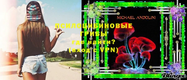 mdpv Ельня