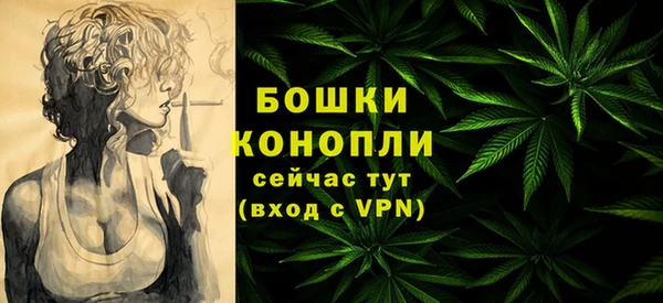 сатива Елабуга