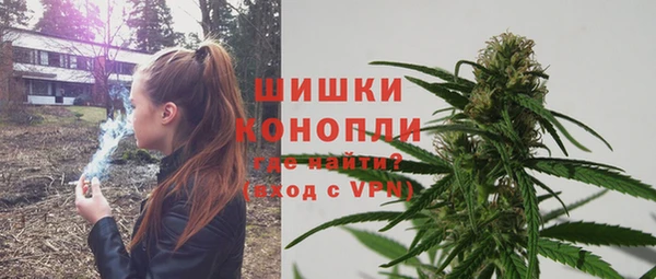 амф Елизово