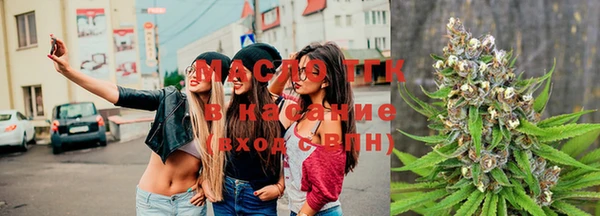 сатива Елабуга