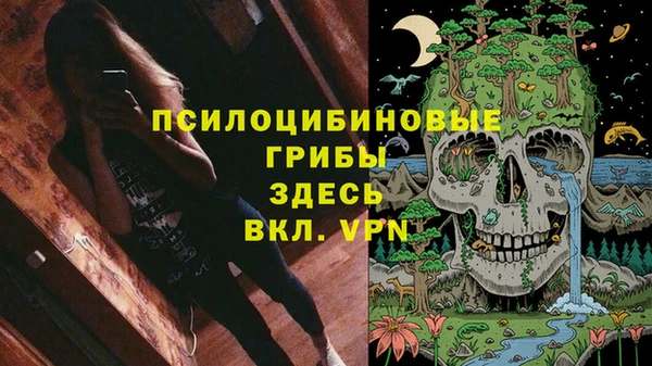 сатива Елабуга