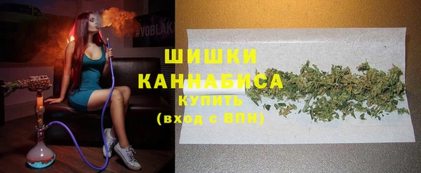 mdpv Ельня