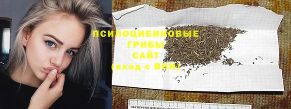 сатива Елабуга