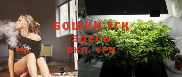 амф Елизово