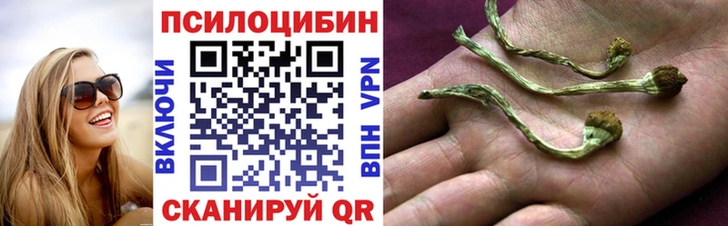 Псилоцибиновые грибы Psilocybine cubensis Переславль-Залесский