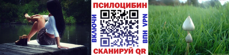 Галлюциногенные грибы Psilocybe  Купить где  Переславль-Залесский 